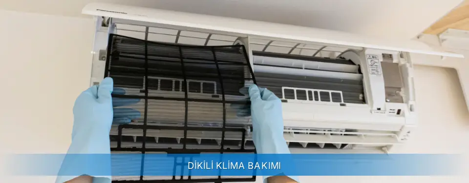 Dikili İlçemi Carrier Klima Bakımı